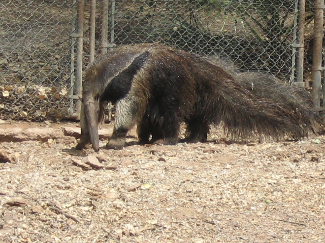 618x457 pixels (254K)